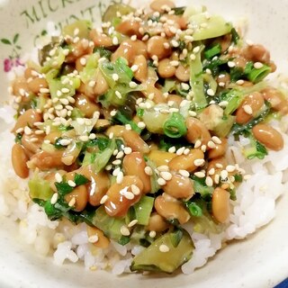 納豆の食べ方-高菜＆野沢菜♪